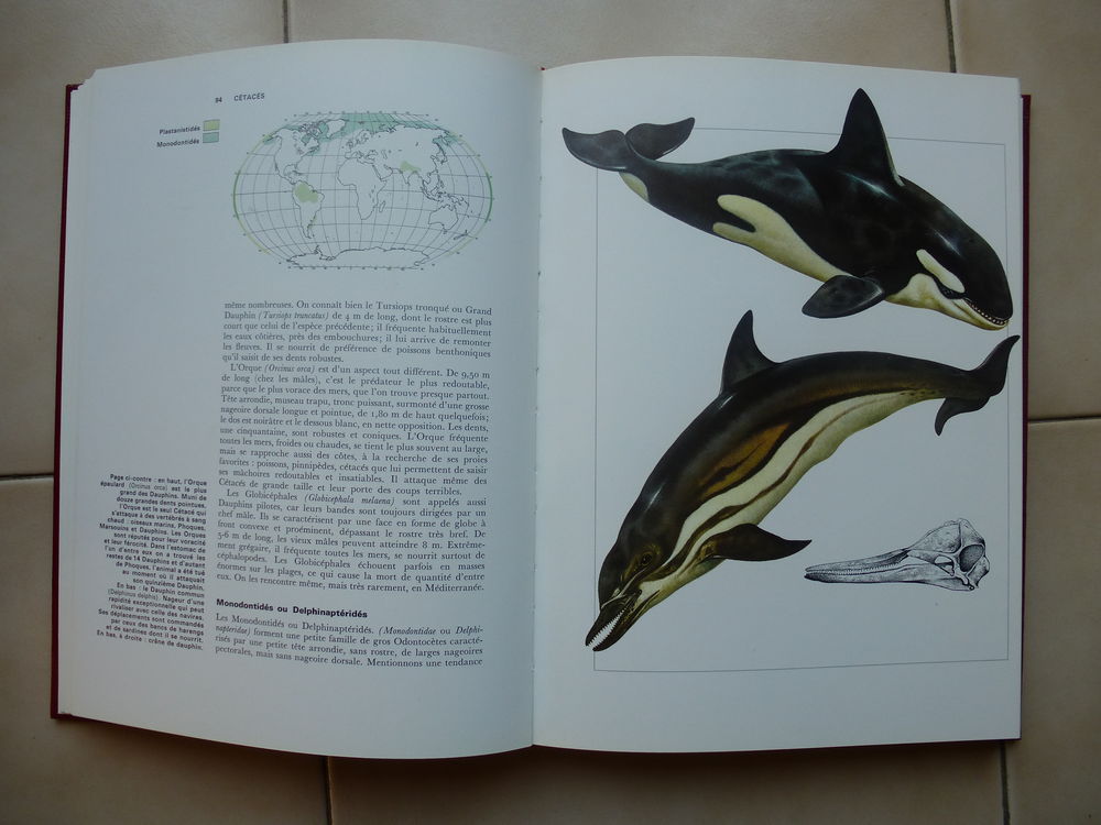 Encyclop&eacute;die de la nature Agnathes et poissons Livres et BD