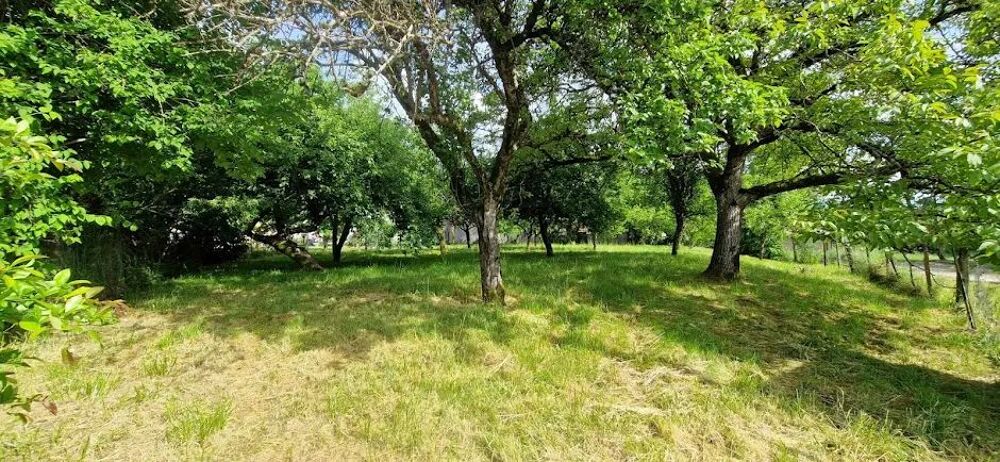 Vente Terrain Terrain Constructible Cenans
