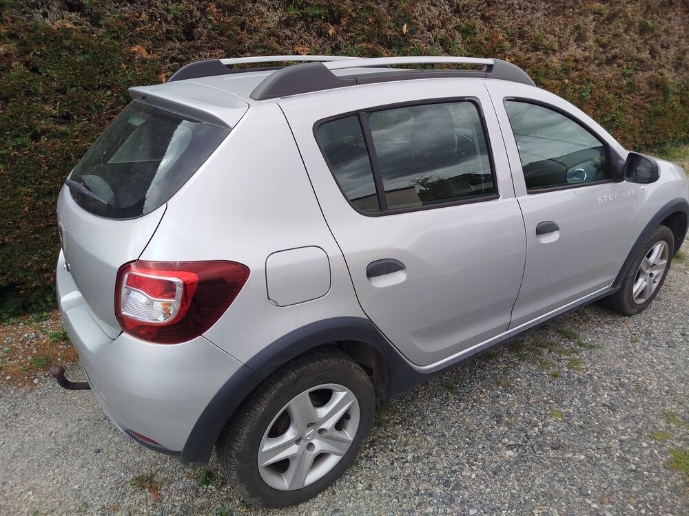 Sandero TCe 90 E6 Ambiance 2016 occasion 49380 Faye-d'Anjou