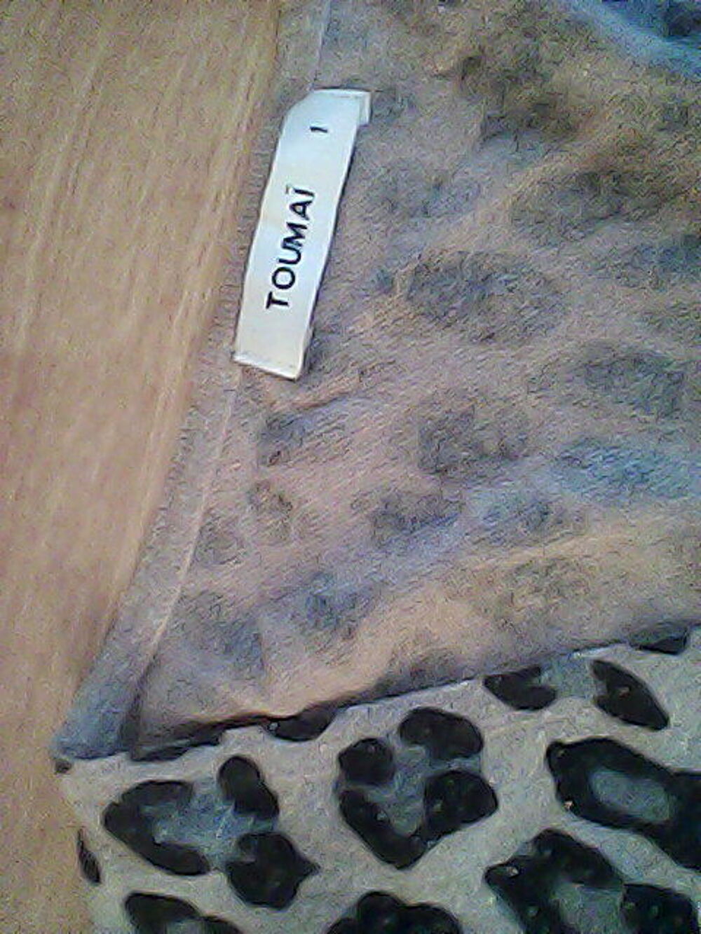 Beau gilet animal, Vêtements