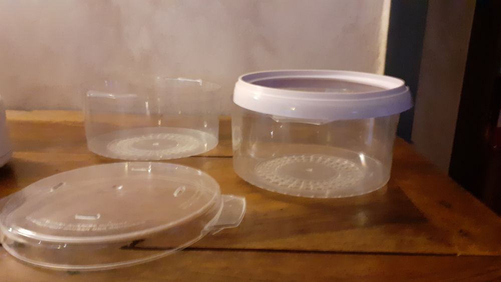 cuiseur &agrave; vapeur Electroménager