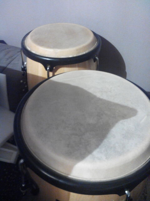 paire de coungas sp�cial salsa 250 Lod�ve (34)