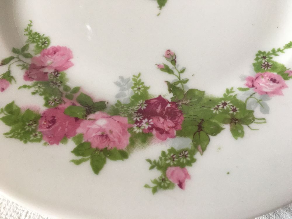 ASSIETTE ancienne en porcelaine de LIMOGES d&eacute;cor de roses 