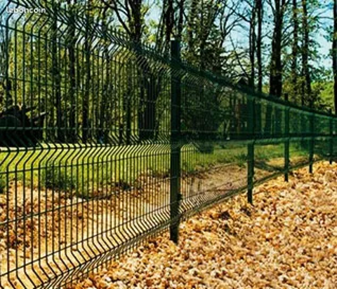 Cl�ture jardin  1 Saint-Omer (62)