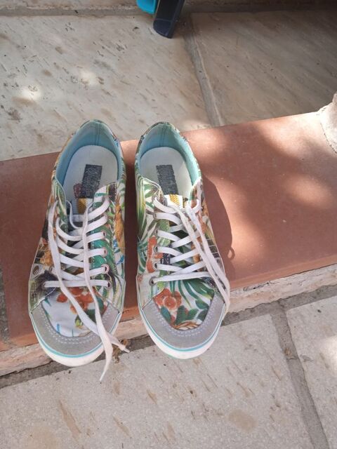 TENNIS WRANGLER 8 Nfiach (66)