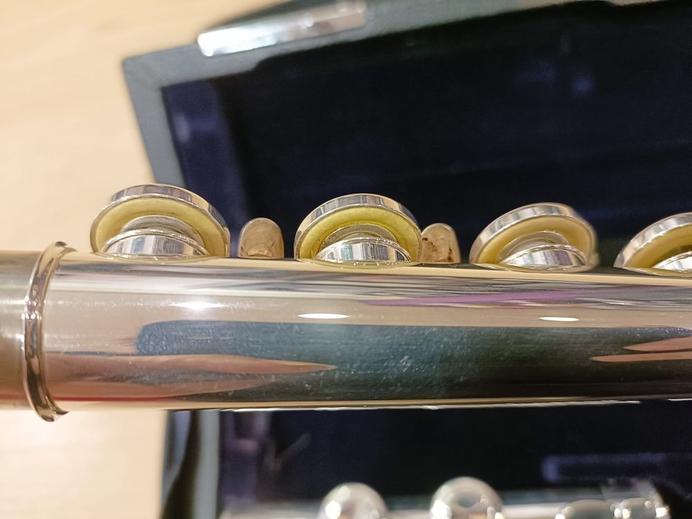 ? Fl&ucirc;te traversi&egrave;re Trevor J. James Privil&egrave;ge ? R&eacute;vis&eacute;e et Instruments de musique
