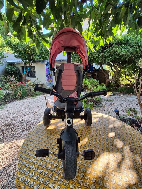 Tricycle Lionelo Antibes (06)