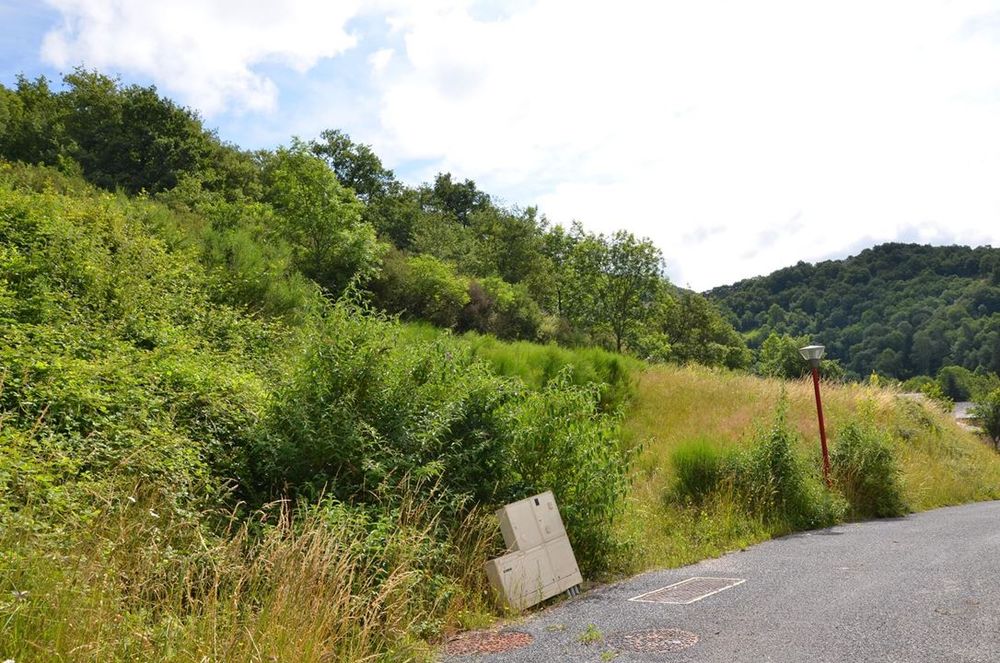 Vente Terrain Terrain - 1121m � Balaguier sur rance