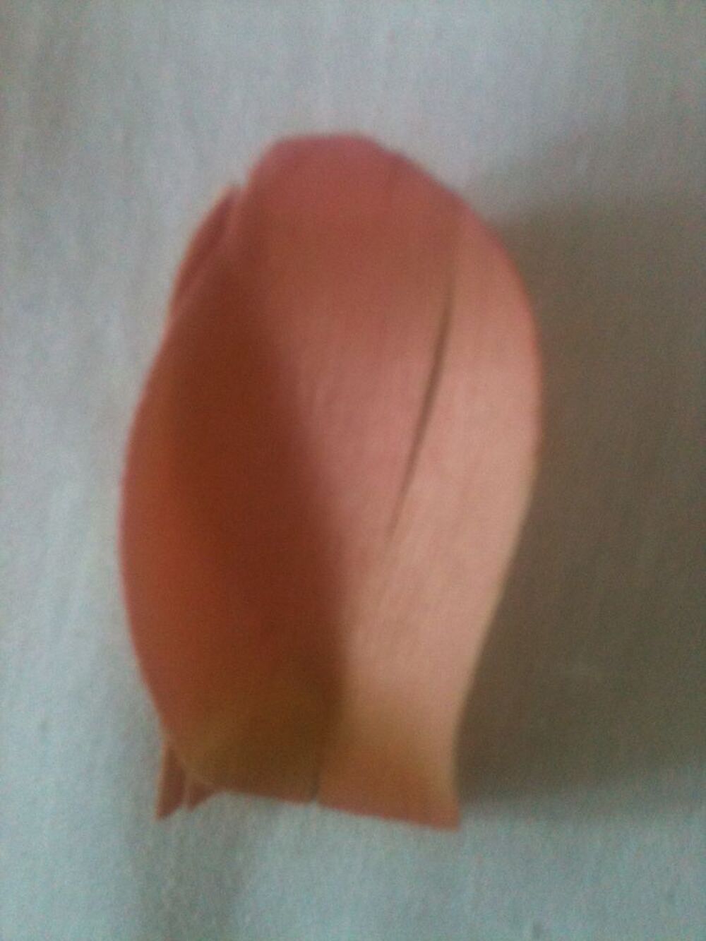 Bouquet de roses en boutons artificielles en bois
Décoration
