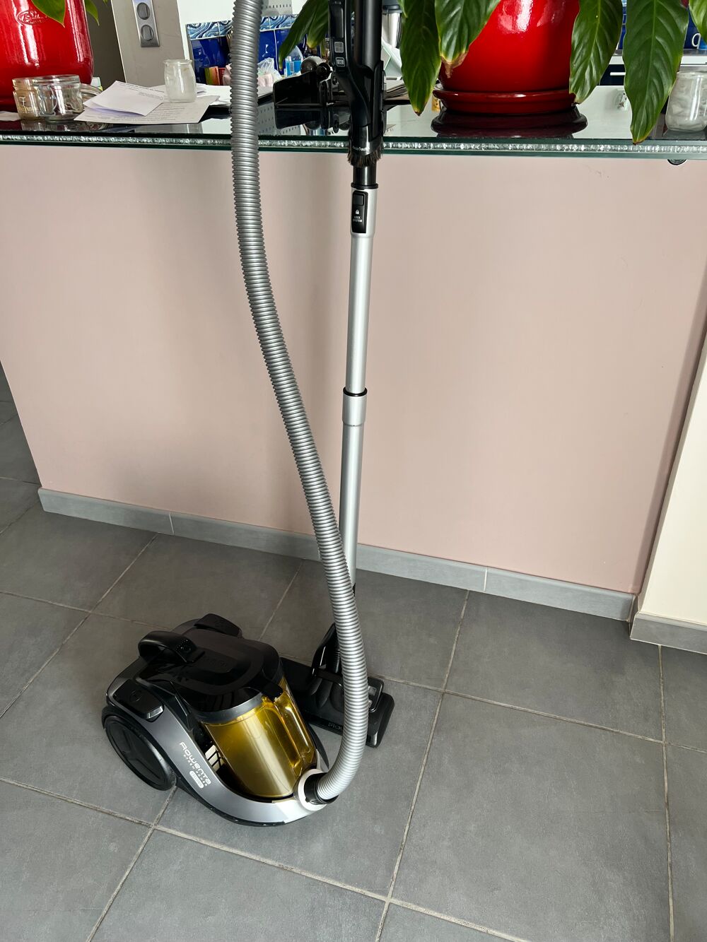 Aspirateur tra&icirc;neau Roventa sans sac X-Trem Power Electrom�nager