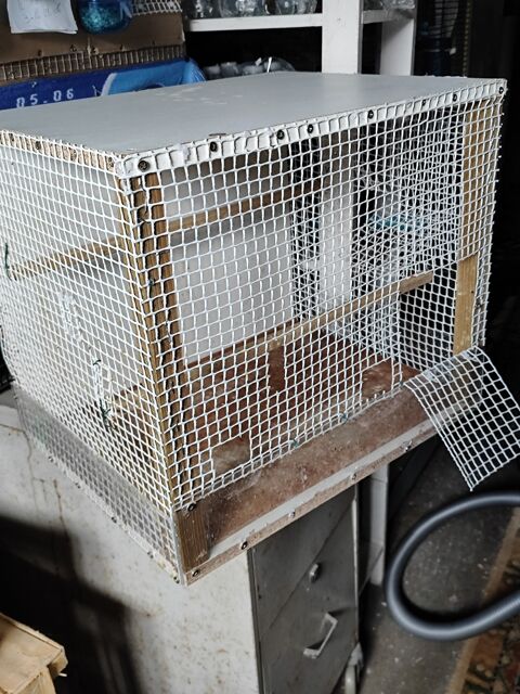 2.cages pour tout type d oiseaux faites par mois mme elles ont servi 4.5.mois.30€ pices 50€les 2..dim.49x42x40. 25 Pouzauges (85)
