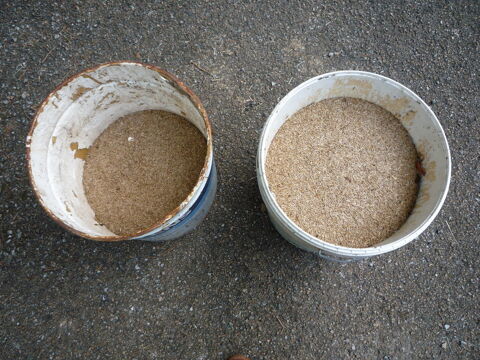 Graines de gazon
25 Castres (81)