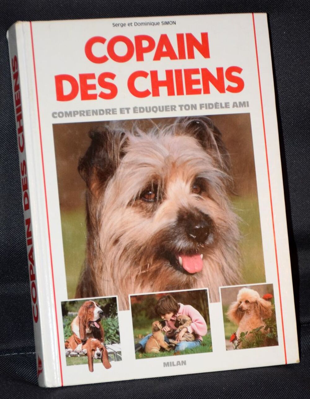 Copain Chien - Serge et Dominique Simon - 1990 Livres et BD