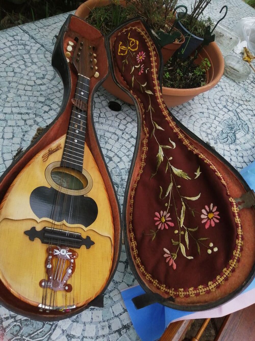 Mandoline napolitaine Instruments de musique