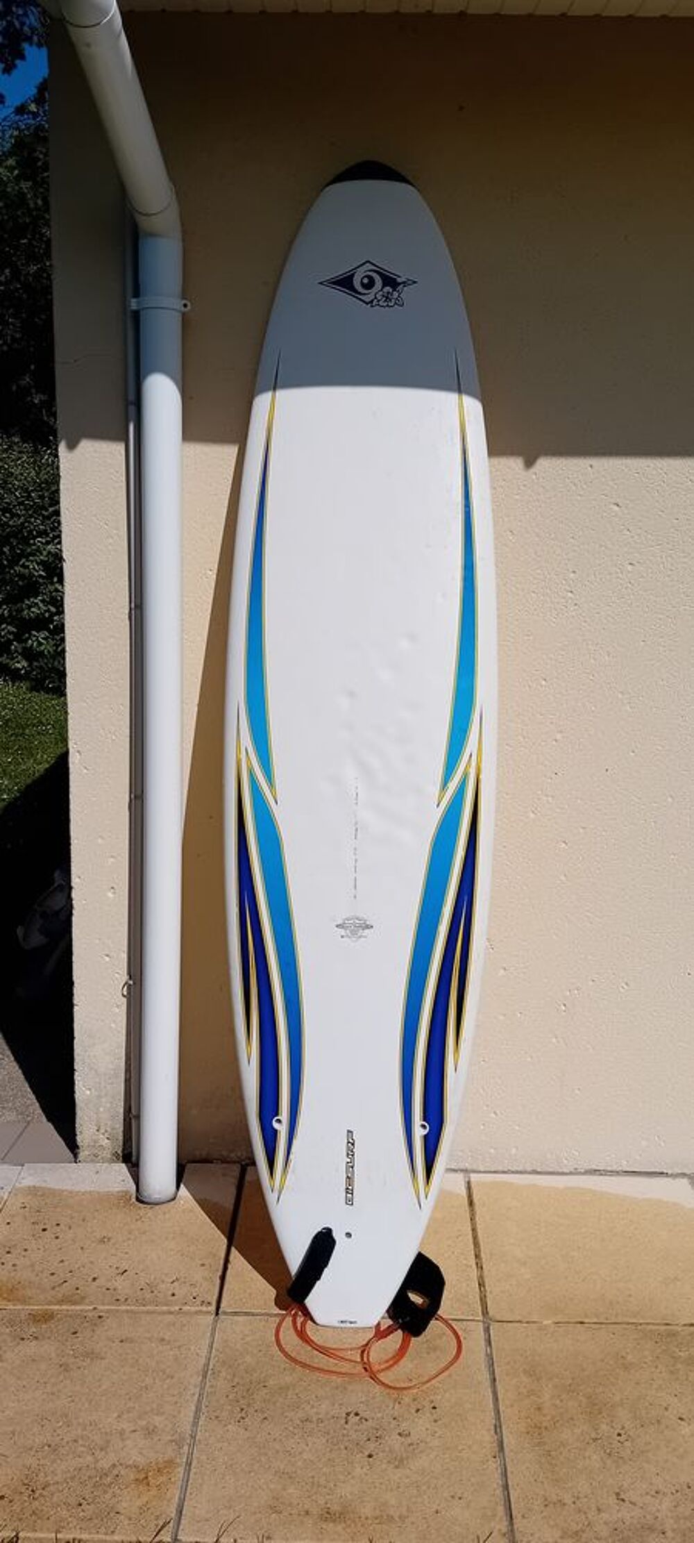 Surf, housse, combi, petites planches de plage Sports