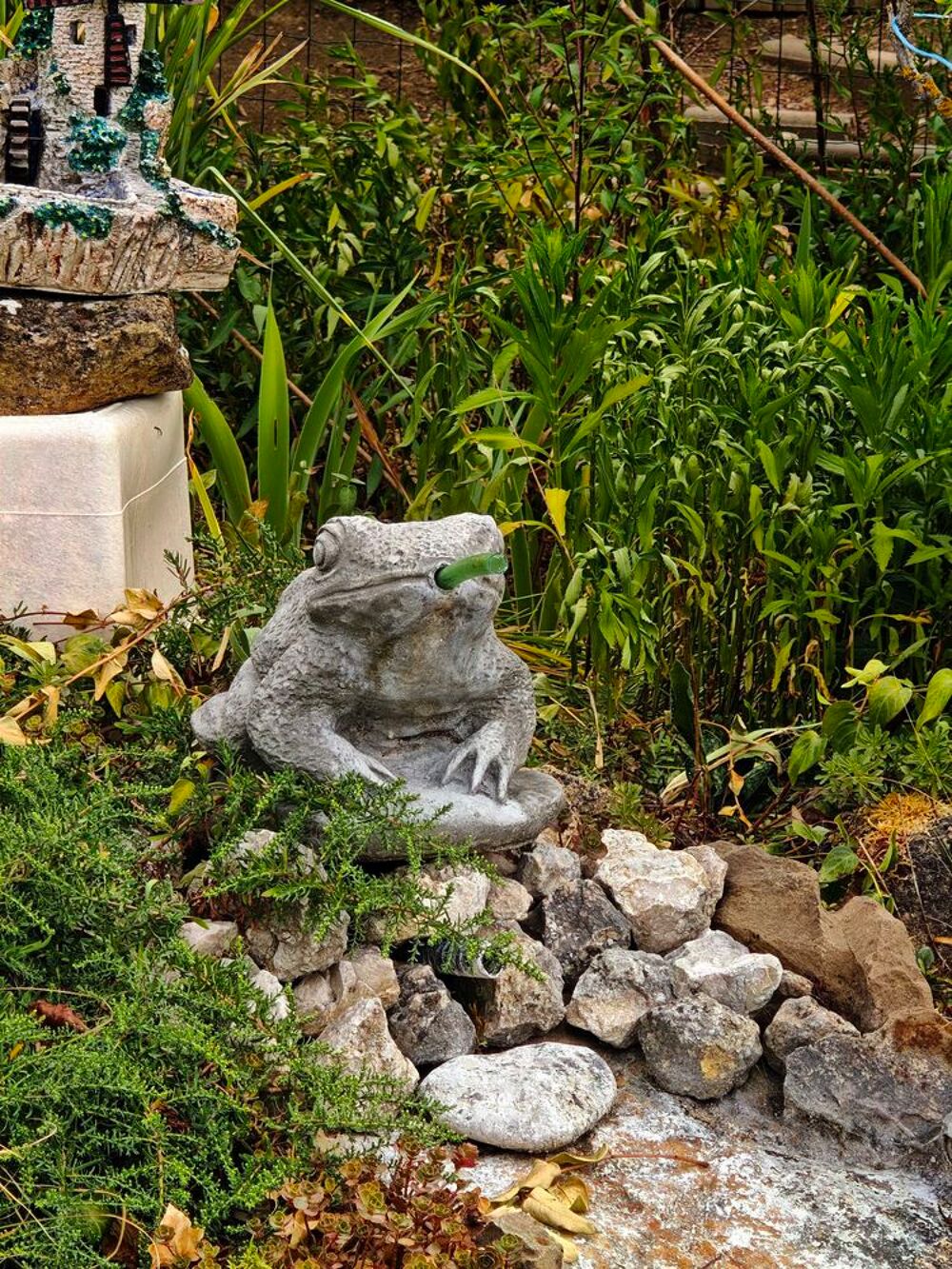 grenouille pierre Jardin