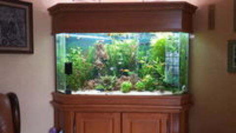   GRAND AQUARIUM D'ANGLE ET TOUS LES EQUIPEMENTS 