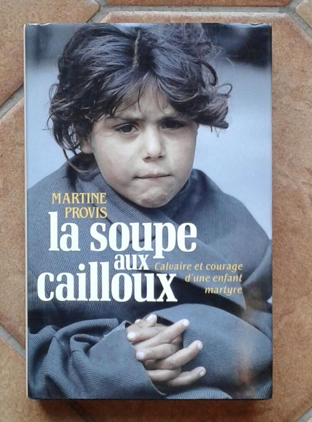 livre "La soupe aux cailloux" Livres et BD