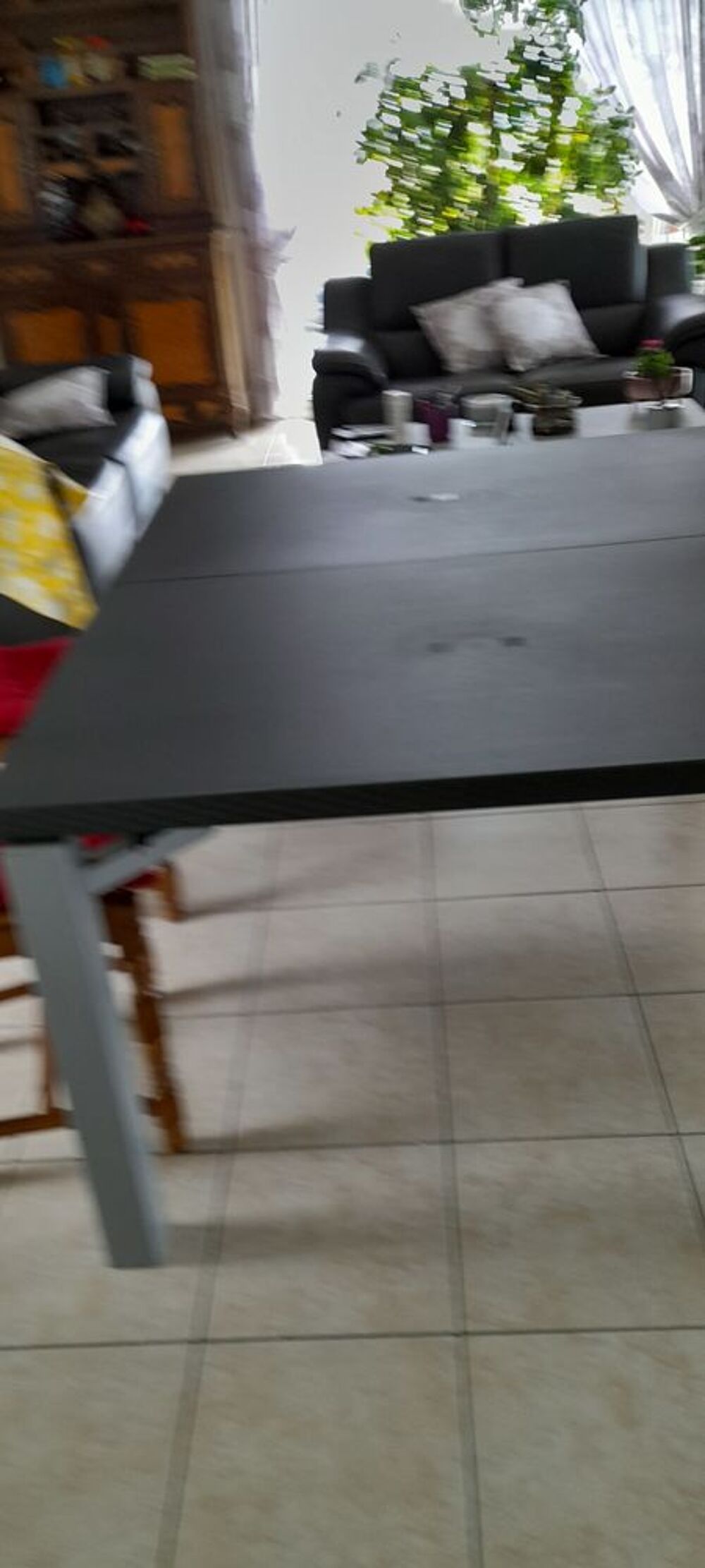 Table plus rallonge plus 8 fauteuils Jardin