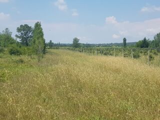  Terrain � vendre 2000 m� Saint-hilaire-d'ozilhan