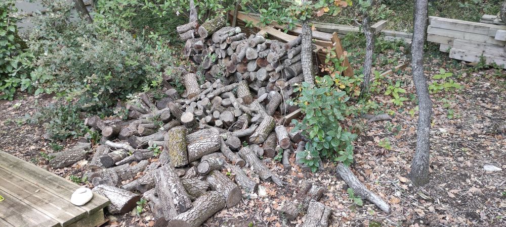 bois de coupe Jardin
