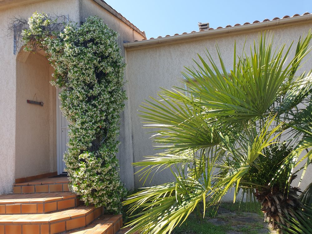   Villa avec piscine dans jardin exotique 10/14 pers Corse, Travo (20240)