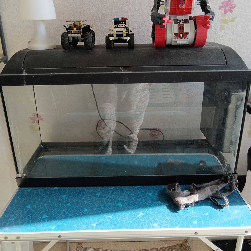aquarium 100 litre Décoration