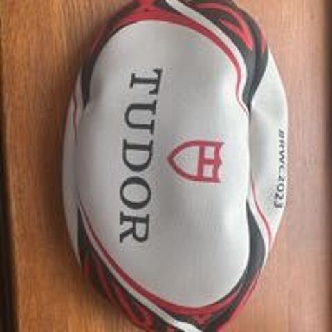 ballon coupe du monde de rugby officiel 2023 TUDOR Claye-Souilly (77)