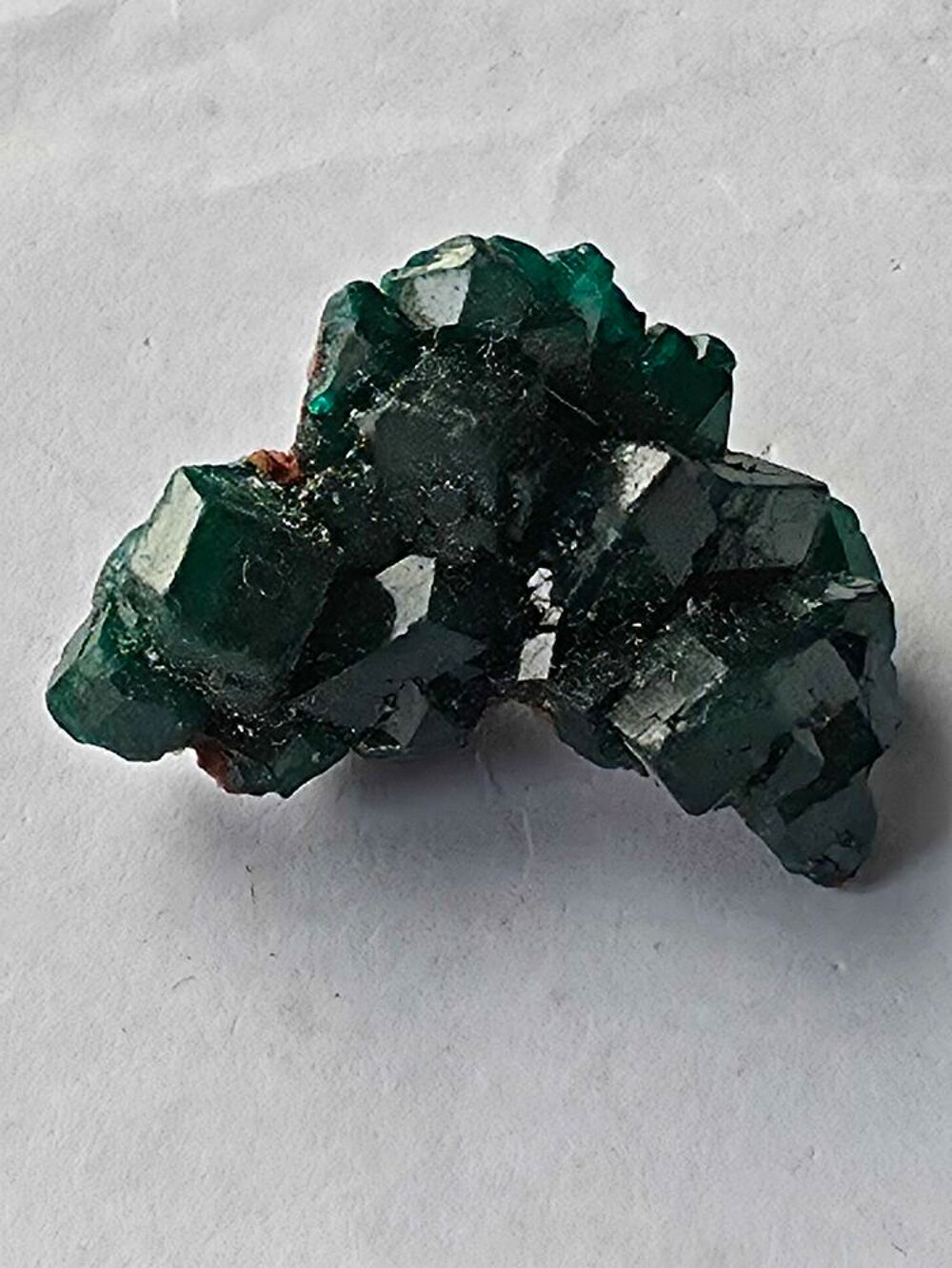 Magnifique Dioptase sur Matrice-Katanga, RDC-8g 