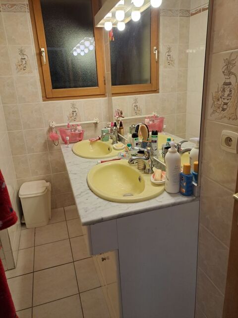 Meuble de salle de bain double vasque 50 Savigny-en-Vron (37)