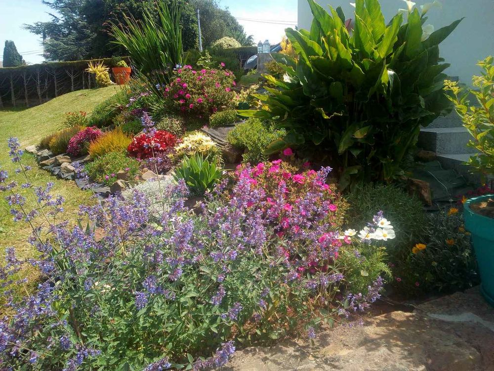   Prs de Paimpol, Maison vue mer Port Lazo - 4 personnes Bretagne, Plouzec (22470)
