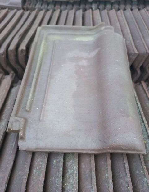 Tuiles Monopole 1 Gouville-sur-Mer (50)