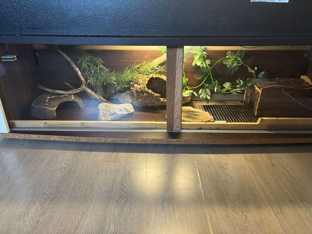 terrarium &eacute;quip&eacute; Meubles