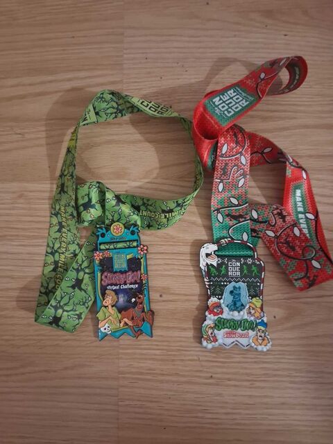 scooby-doo La Roche-sur-Yon (85)