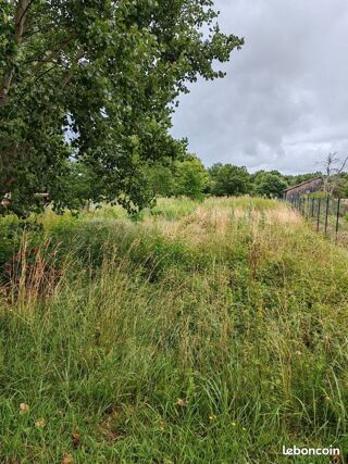  Terrain à vendre 4397 m² 