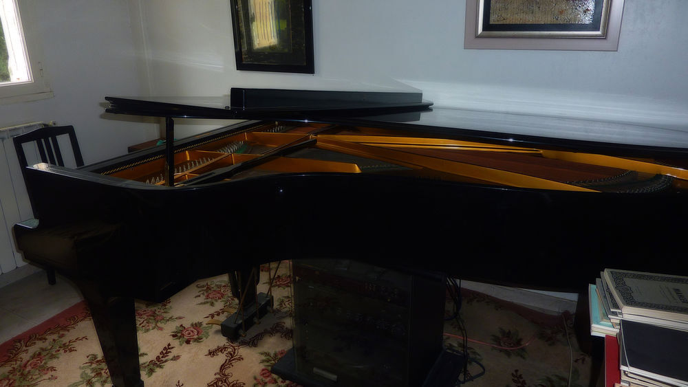 Piano d'exception. Magnifique FEURICH 3/4 de queue de 1985 Instruments de musique