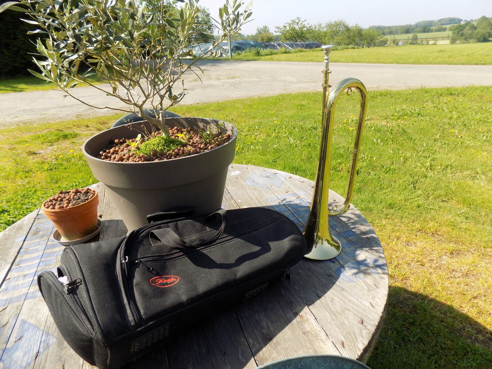 clairon Instruments de musique