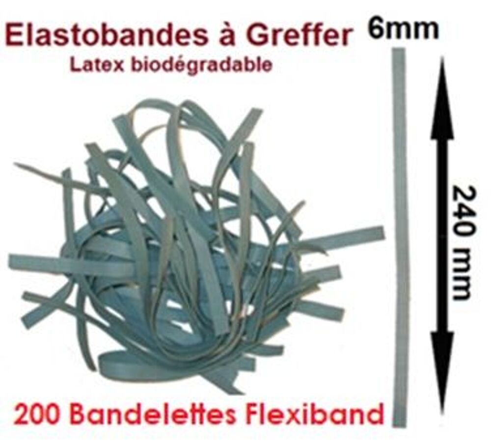 200 Bandelettes &eacute;lastiques pour greffage (FLEXIBAND) Jardin