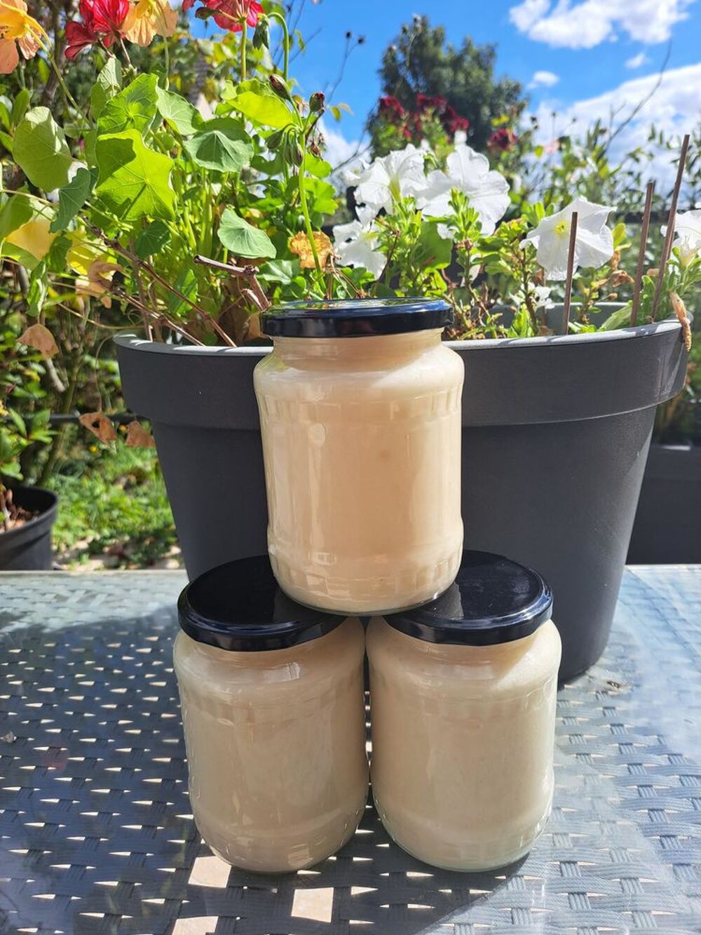 MIEL COLZA POTS 1 KG Jardin