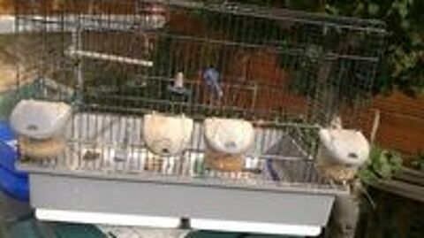   OCCASION; CAGE D'ELEVAGE ZOLUX STYLE COVA 
