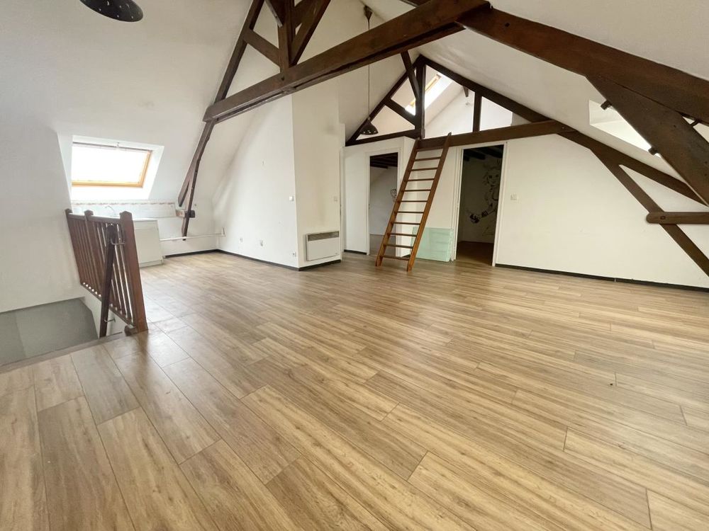 Vente Appartement appartement 3 pièces style loft Reims