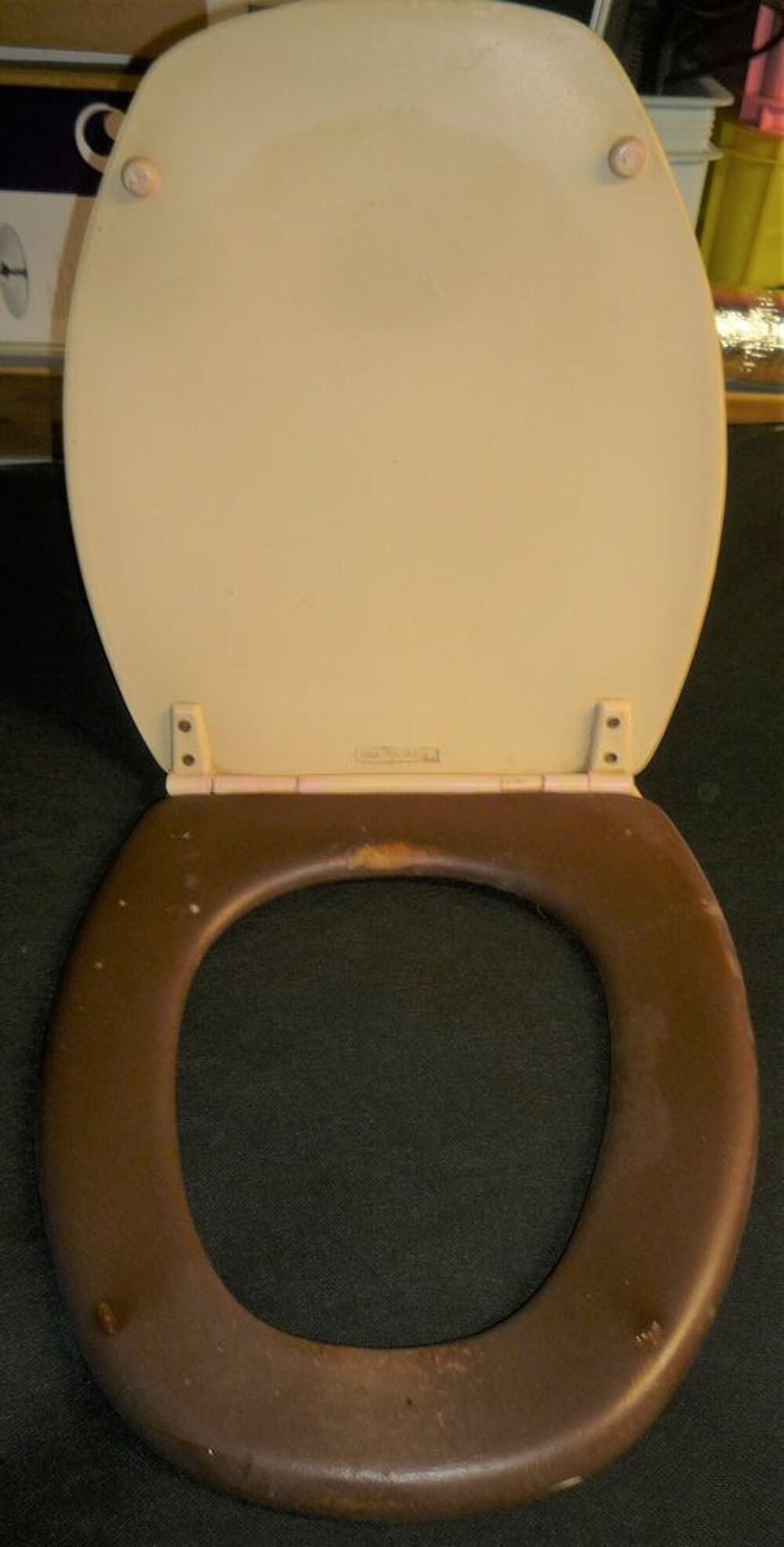 Siege et abattant en bois peint pour WC Décoration