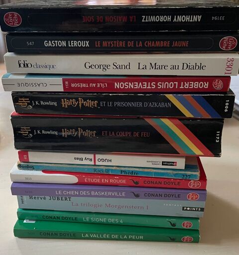 jeunesse livres scolaire et roman Limoges (87)