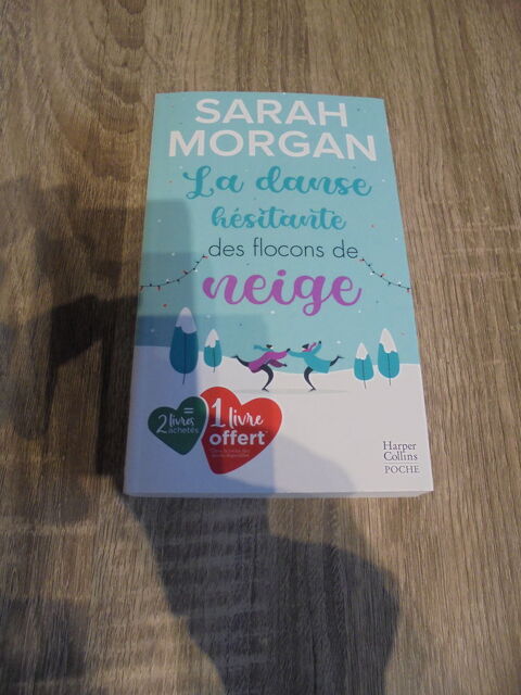 La danse hsitante des flocons de neige (112) 3 Tours (37)