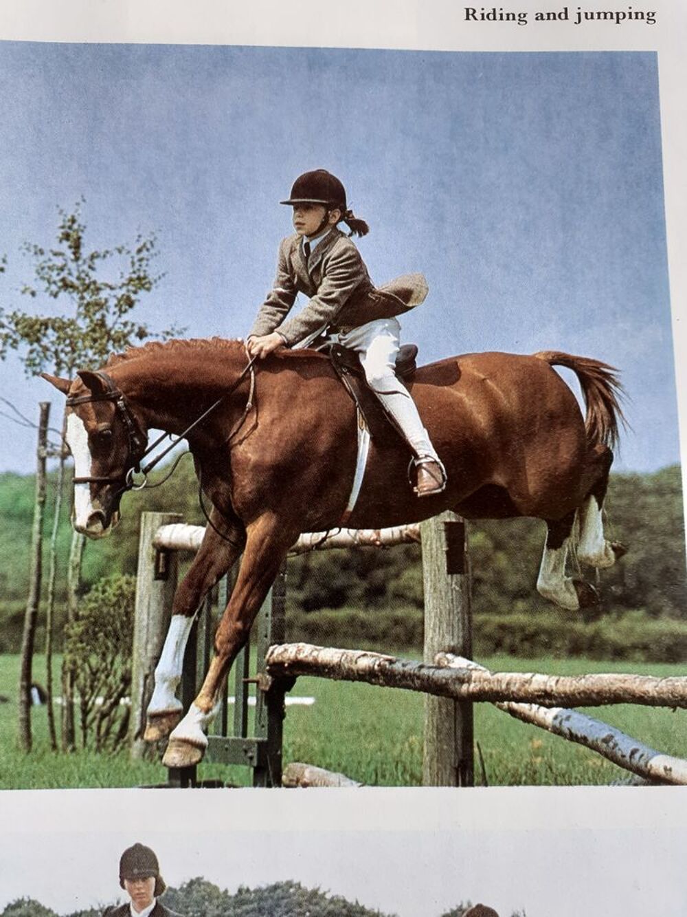 Livre anglais de chevaux Sports