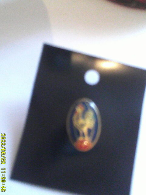 Beau  PIN'S  de  la    F.F.R   15 Nontron (24)