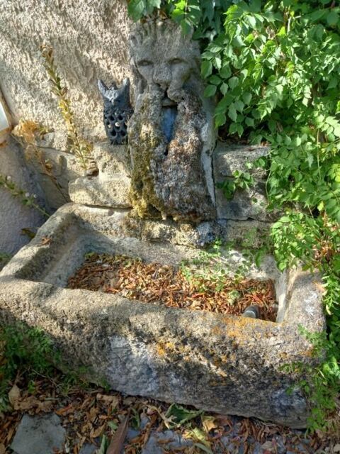 fontaine LION 400 Carpentras (84)