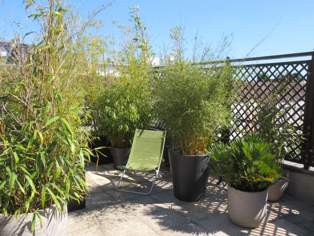 Vente Appartement Le Blanc-Mesnil - Appartement F4 Grande Terrasse Le blanc-mesnil