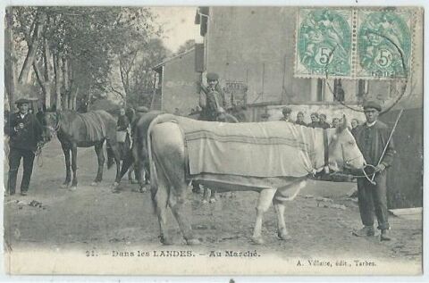 Dans les landes au march� 15 Castel-Sarrazin (40)