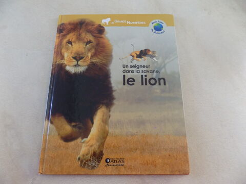 Un seigneur dans la savane, le lion 1 La Motte-d'Aveillans (38)